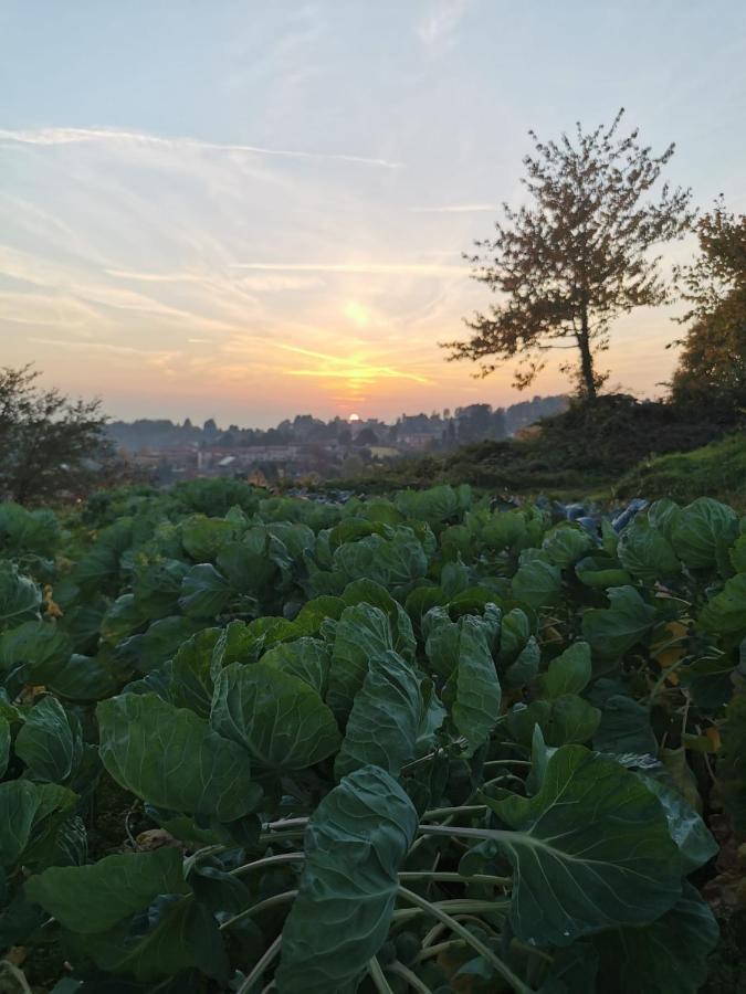 Agriturismo Teresa Delle Fragole Vigano Luaran gambar