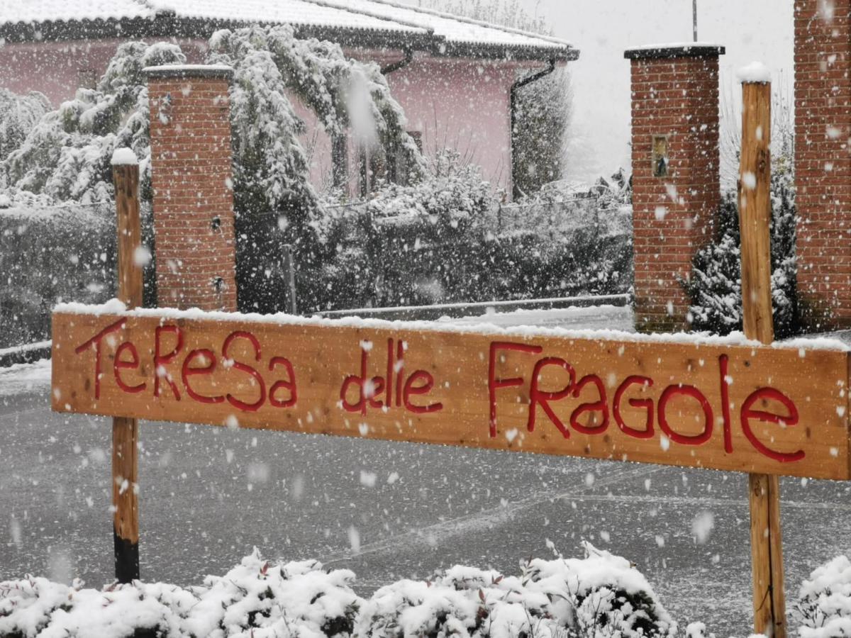 Agriturismo Teresa Delle Fragole Vigano Luaran gambar
